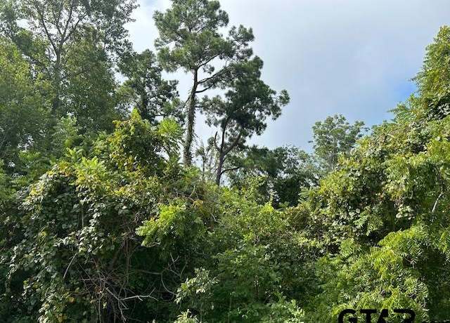 Property at TBD US Hwy 175 W, Jacksonville, TX 75766