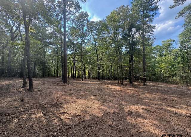 Property at 20381 Fm 16, Winona, TX 75792