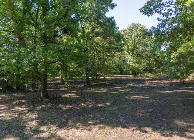 Property at TBD Cr 1600, Alba, TX 75410