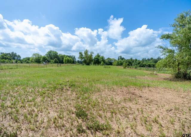 Property at TBD 18202 E Bailey Ave, Troup, TX 75789