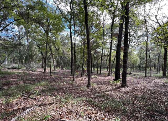 Property at 13648 CR 420 (lot 5), Tyler, TX 75704