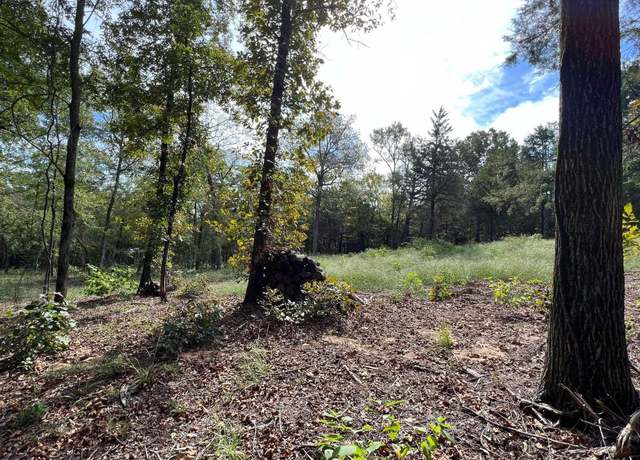 Property at 13610 CR 420 (lot 6), Tyler, TX 75704