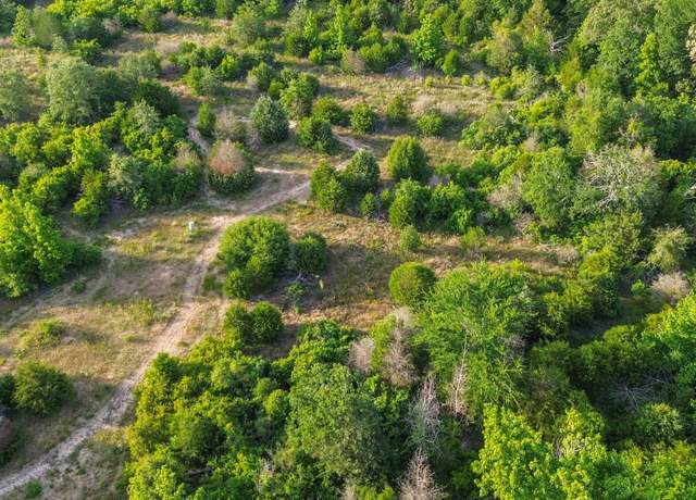 Property at 7363 Sandy Hill Ln, Murchison, TX 75778