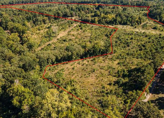 Property at 00 County Road 4220, Annona, TX 75550