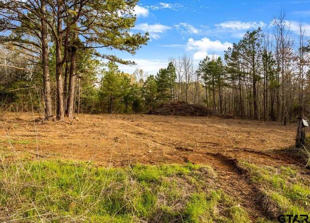 Property at 19353 County Road 2153 Lot 1, Troup, TX 75789