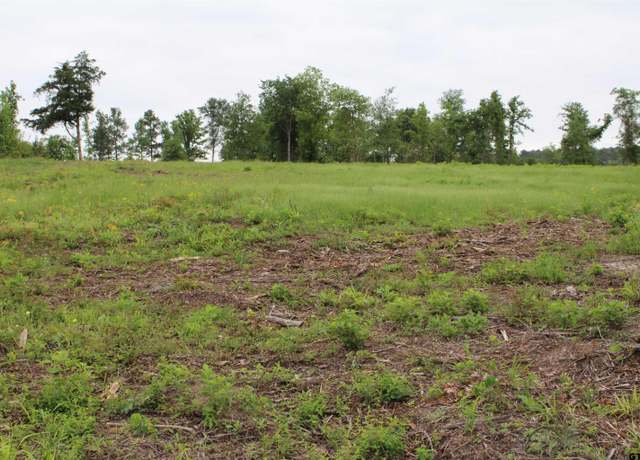 Property at TBD CR 2217 - Lot 3, Rusk, TX 75785