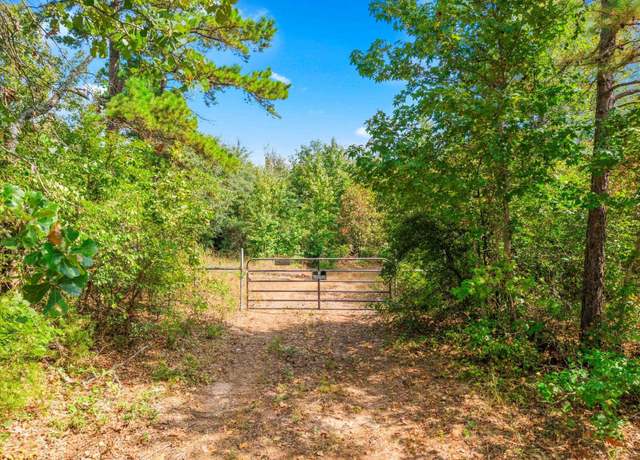 Property at 1162 County Road 1647, Avinger, TX 75630