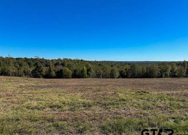 Property at TBD Cr 314, Laneville, TX 75667