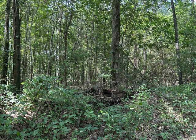 Property at 532 Jerome St, Rusk, TX 75785