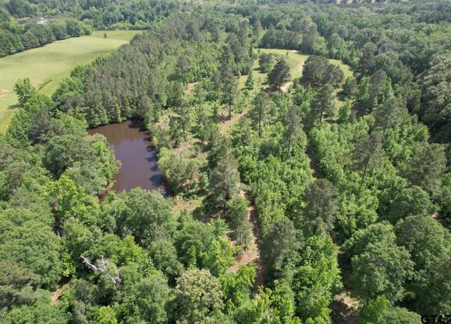 Property at TBD Fm 13, Henderson, TX 75654
