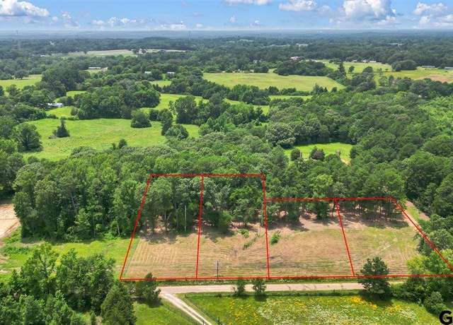 Property at TBD CR 224 (lot 2a), Arp, TX 75750
