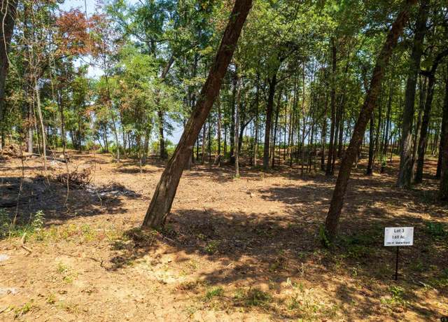 Property at Lot 3 Big Oaks, Leesburg, TX 75451