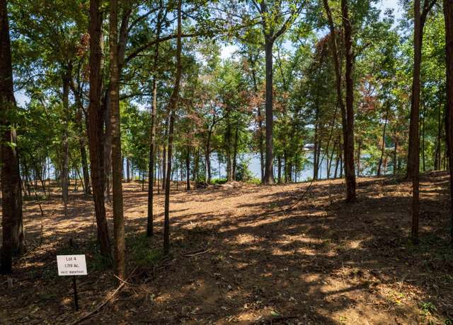 Property at Lot 4 Big Oaks, Leesburg, TX 75451