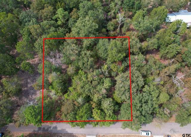Property at TBD W King Chester Ct, Scroggins, TX 75480