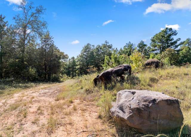 Property at 16 Acres Cr 3350, Mt Vernon, TX 75457