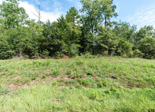 Property at TBD Tract 7 Moser Ln, Whitehouse, TX 75791