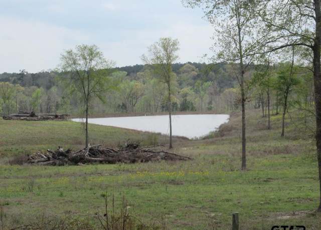 Property at 38.8 AC Hwy 84, Laneville, TX 75667