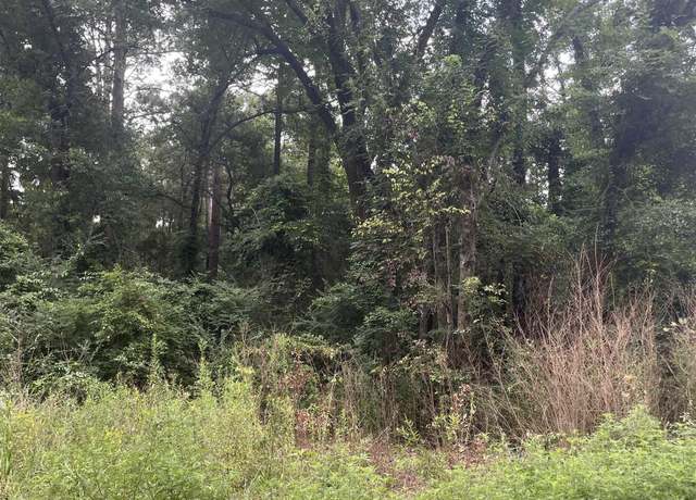 Property at TBD Cr 4152, Pittsburg, TX 75686