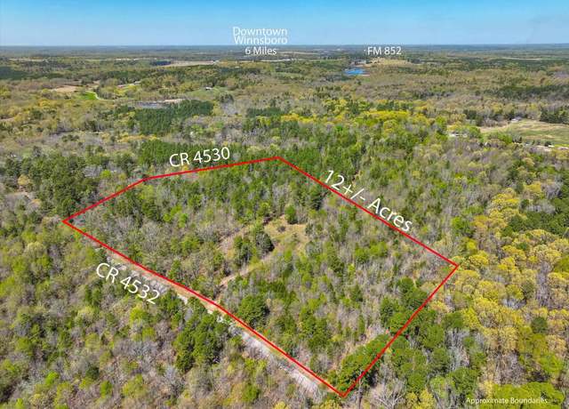 Property at TBD (12Acres) Cr 4530, Winnsboro, TX 75494