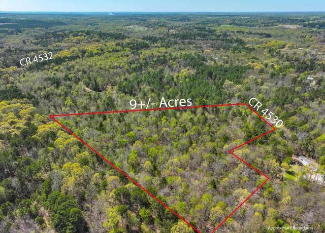 Property at TBD (9Acres) Cr 4530, Winnsboro, TX 75494