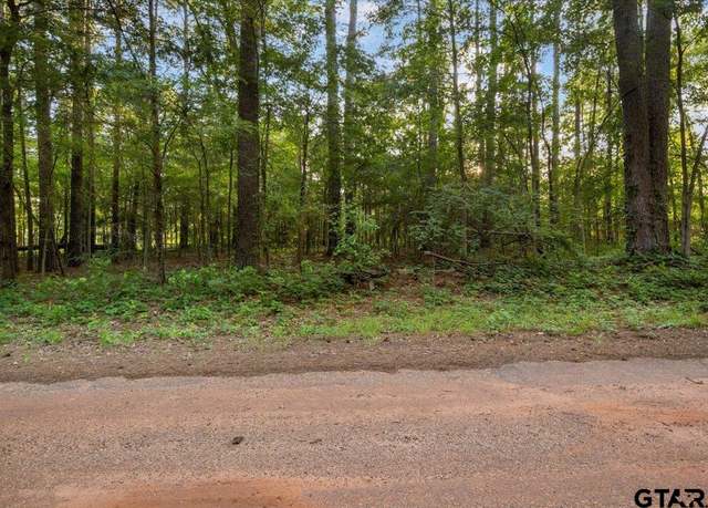 Property at 163 San Marcos St, Bullard, TX 75757