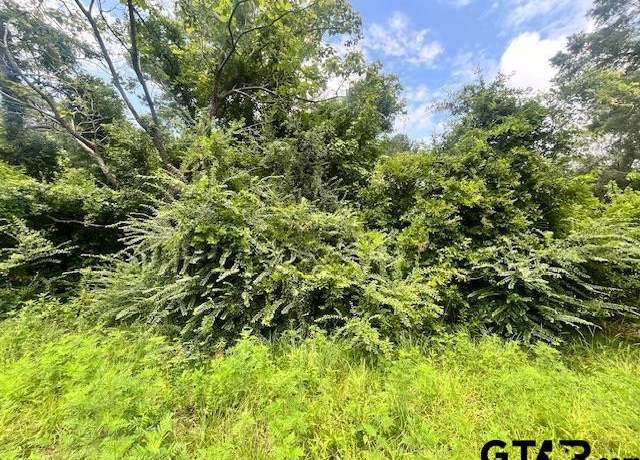 Property at TBD Alma St, Troup, TX 75789
