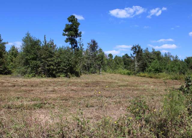 Property at TBD CR 2215 - Lot 9, Rusk, TX 75785