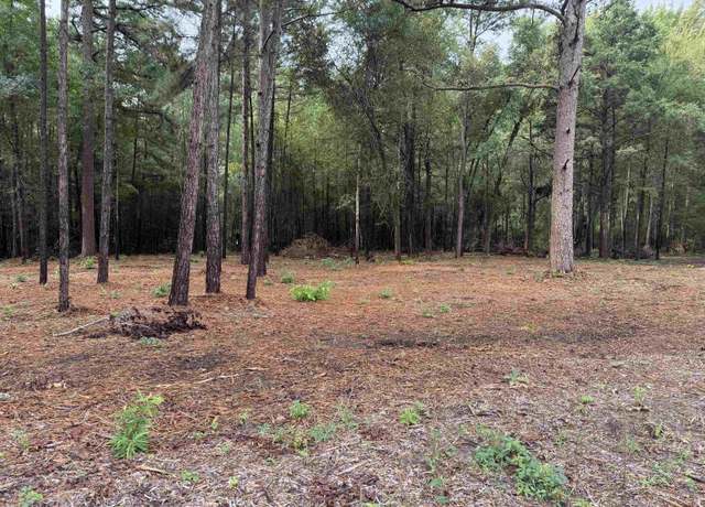 Property at 11503 C R 168, Tyler, TX 75703
