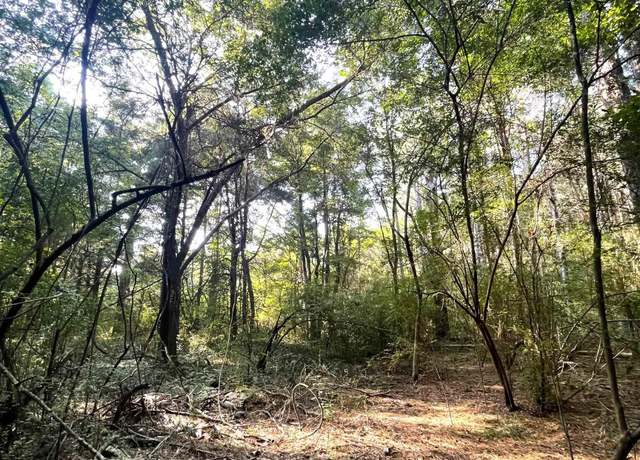 Property at TBD Hwy 44 E, Dekalb, TX 75559