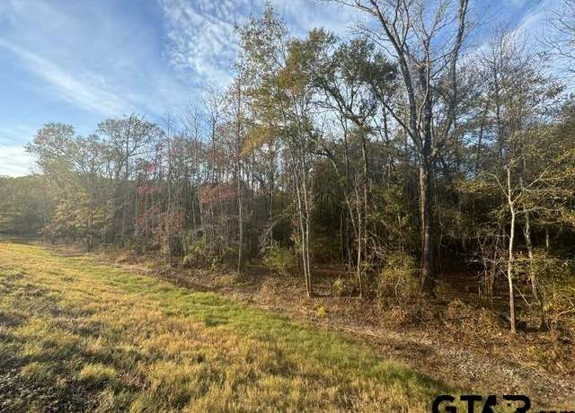 Property at TBD S Hwy 135, Troup, TX 75789