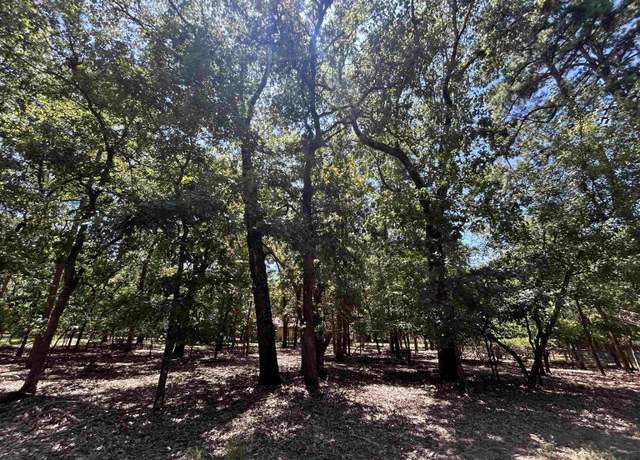 Property at 202 Magnolia, Holly Lake Ranch, TX 75765