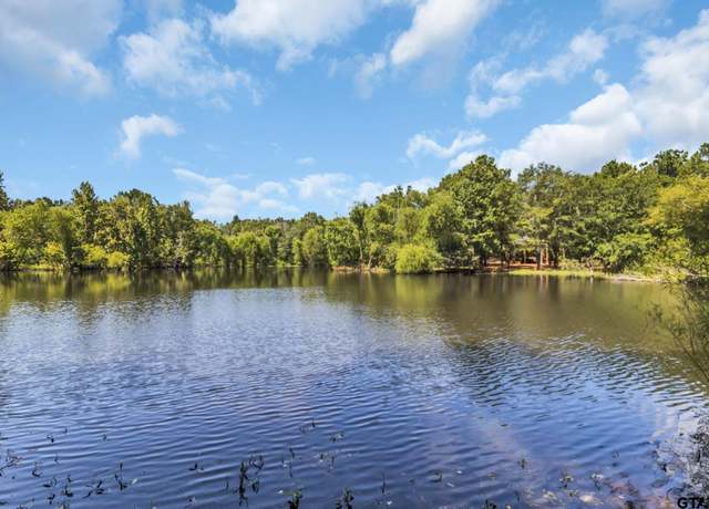 Property at 4891 Fm 856 N, Troup, TX 75789