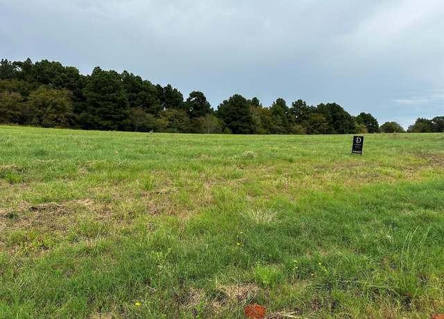 Property at 16724 Caeli Heights Court (lot 13), Winona, TX 75792