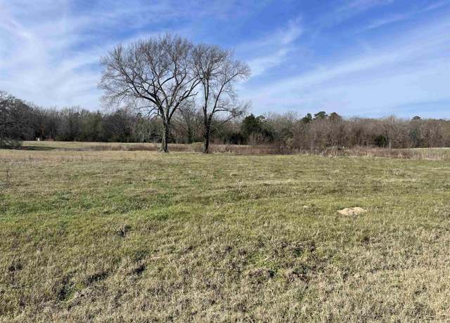 Property at TBD Cr 2320, Pittsburg, TX 75686