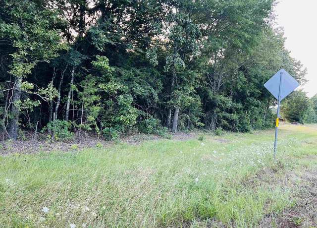 Property at TBD US Hwy 259 N, Omaha, TX 75571