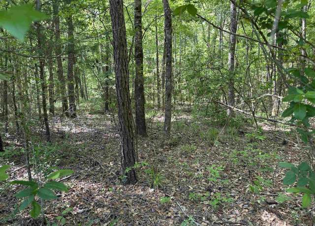Property at 23830 E Hwy 64, Troup, TX 75789