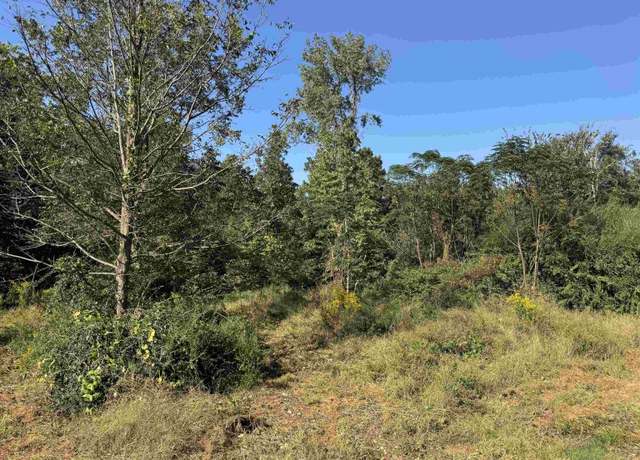 Property at 7079 Fm 241 S, Alto, TX 75925