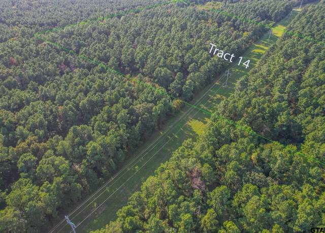 Property at Tract 14 Cr 4224, Frankston, TX 75763