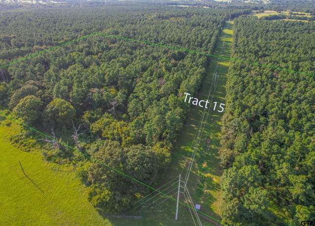 Property at Tract 15 Cr 4224, Frankston, TX 75763