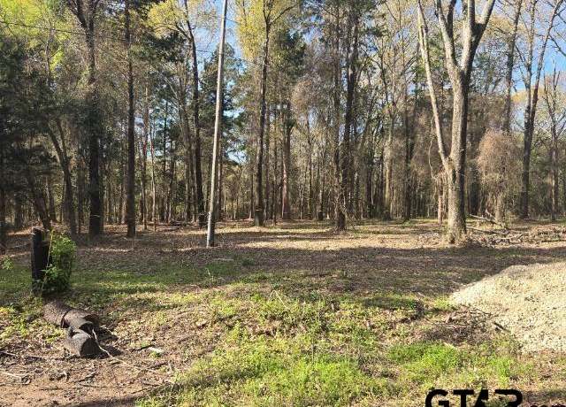 Property at 201 Vz County Road 4700, Ben Wheeler, TX 75754