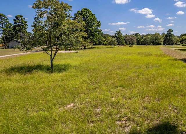 Property at TBD County Road 313 E, Tyler, TX 75706