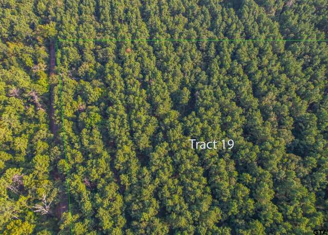 Property at Tract 19 Cr 4224, Frankston, TX 75763