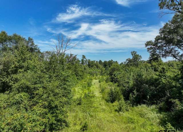 Property at 0 US 271, Gladewater, TX 75647