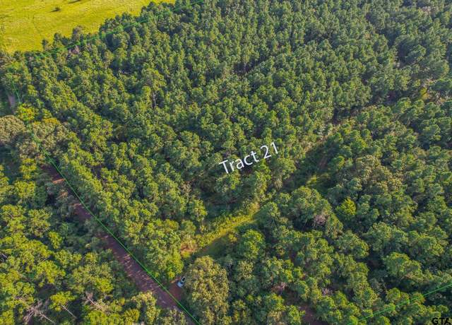 Property at Tract 21 Cr 4224, Frankston, TX 75763