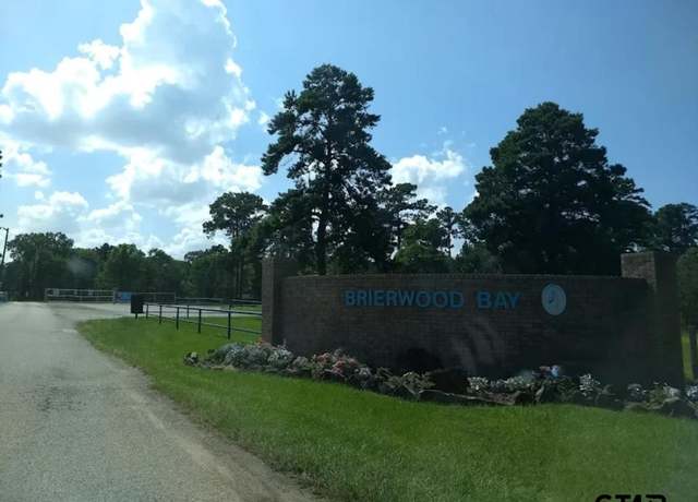 Property at TBD Lot 1 Brierwood Dr, Frankston, TX 75763