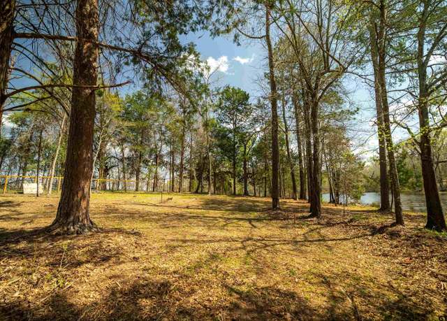 Property at 190 County Road 4826, Winnsboro, TX 75494