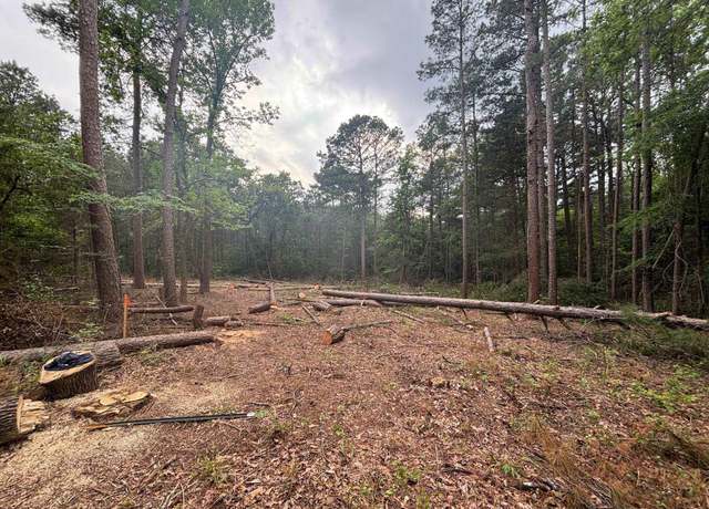 Property at TBD Zinnia Rd, Diana, TX 75640