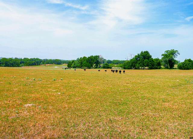 Property at 10250 Cr 4520, Larue, TX 75770