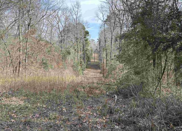 Property at TBD Cr 2439, Alto, TX 75925