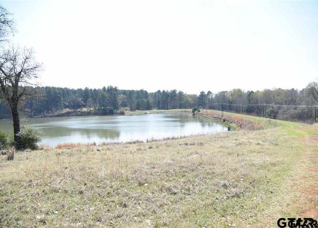 Property at Lot 11 Acr 450, Montalba, TX 75853